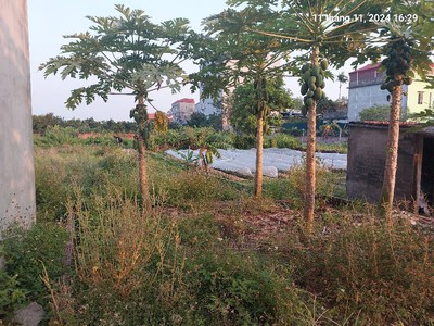 Bán đất bắc hồng, đông anh  phúc thịnh  100m2, mt6m. 5.85 tỷ. ô tô nhỏ. 1