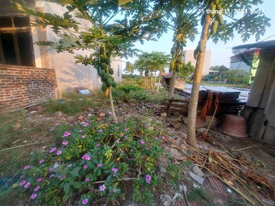 Bán đất bắc hồng, đông anh  phúc thịnh  100m2, mt6m. 5.85 tỷ. ô tô nhỏ. 4