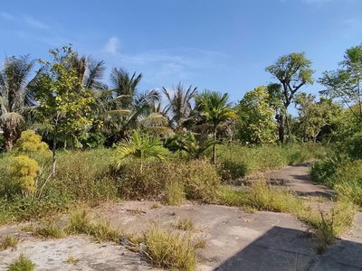 Bán lô đất trang trại hơn 5000m  tại kiến thụy   hải phòng 2