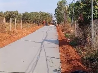 Cần bán đất mặt tiền đường bê tông quảng tín 0