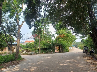 Lô đất đẹp nhất nhì 130,4m tại phụng châu-chương mỹ-hà nội 3