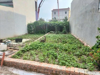 Bán đất lại đà - xã đông anh - làng văn hoá, quê bác trọng. sát vin cổ loa 3