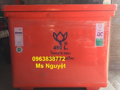 Thùng đá 450L Thái Lan giá rẻ, giao hàng tận nơi 1
