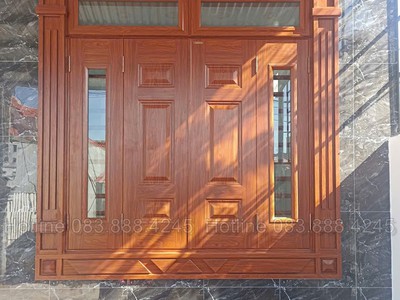 Cửa thép vân gỗ hiện đại 0