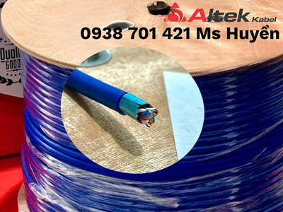 Cáp mạng FTP Cat6 1