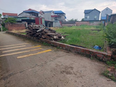 Hai thửa đất, 100m2, mt6m, 2.8 tỷ, 7 chỗ, thông, thanh trí, sóc sơn. 1