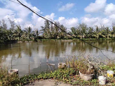 Bán lô đất trang trại 5000m2 tại huyện kiến thụy, hải phòng, phù hợp phát triển mô hình nông 0