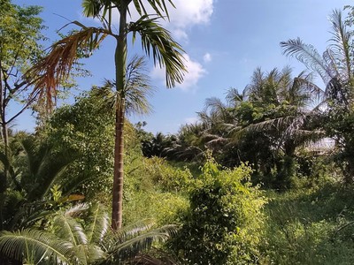 Bán lô đất trang trại 5000m2 tại huyện kiến thụy, hải phòng, phù hợp phát triển mô hình nông 3