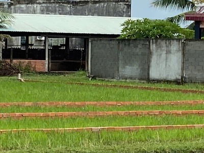 Chính chủ bán lô đất 1000m2 giá siêu tốt tại bàu sen, đức hòa, long an 1