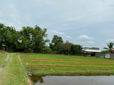 Chính chủ bán lô đất 1000m2 giá siêu tốt tại bàu sen, đức hòa, long an 0