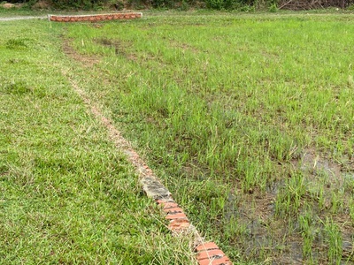 Chính chủ bán lô đất 1000m2 giá siêu tốt tại bàu sen, đức hòa, long an 4
