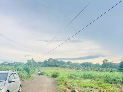 1000m bàu lâm. qh đất ở . đường nhựa khu dân cư .ngang 14 giá siêu rẻ 1