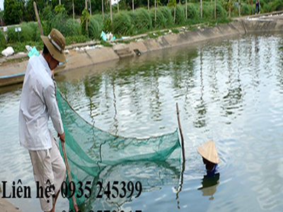 Lưới chắn cá hồ câu 2