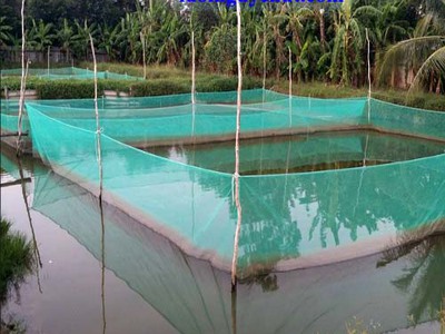 Lưới chắn cá hồ câu 4