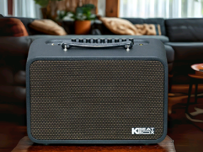 Loa di động mini Acnos CS160Pro khuyến mãi chân gỗ kê loa 0