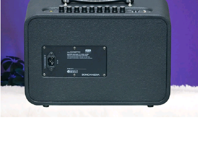 Loa di động mini Acnos CS160Pro khuyến mãi chân gỗ kê loa 3