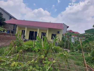 Bán đất bắc hồng 80m2, mt7.7m, 4.43 tỷ, vf3,  đông anh , gần phố. 1