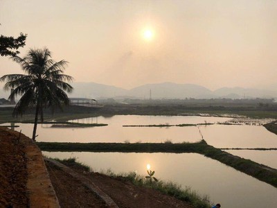 Hot sở hữu ngay đất đẹp - giá tốt - vị trí đắc địa tại xã minh quang, huyện ba vì, hà nội   nay là 1
