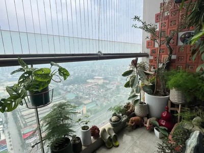 Cần bán chung cư cao cấp khu vip đỉnh cao nằm trên mặt phố nguyễn tuân đang mở rộng 1