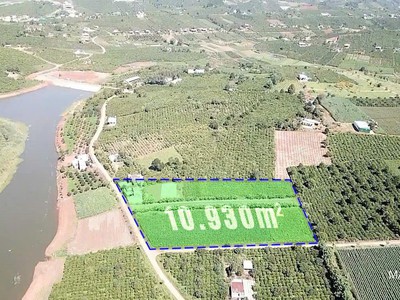 Giảm mạnh 1 tỷ  1.1ha đất lô góc, đường 12m   xã phúc thọ lđ 1