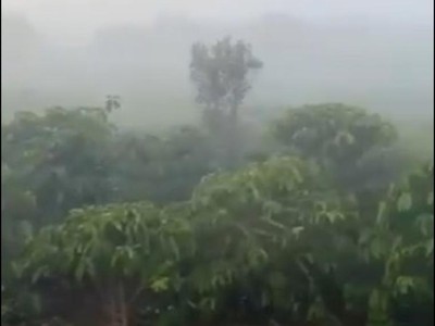 Giảm mạnh 1 tỷ  1.1ha đất lô góc, đường 12m   xã phúc thọ lđ 2