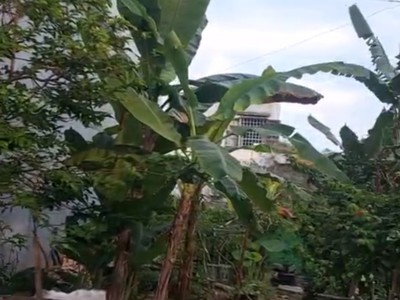  bán lô đất đẹp khu tđc tân trà đà nẵng   giá chỉ 3,9 tỷ  1