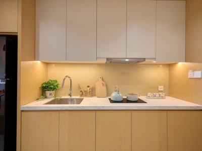 Căn hộ studio - tòa p8 dự án sun urban city hà nam  p80942 2