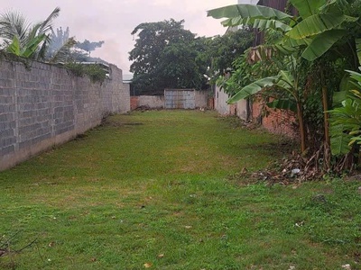 Bán đất, hẻm nguyễn văn quá  - gần tô ký , chợ cầu, 582m2   12x55m , full thổ, 20,9 tỷ 1
