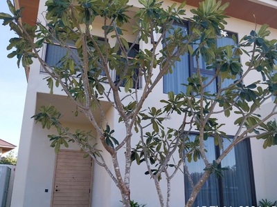L aurora phú yên shophouse biển đẳng cấp 5  cần chuyển nhượng 2