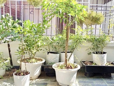 Chính chủ cần bán gấp nhà tại đồng mai hà đông. dt 34m2 5 tầng full nội thất . nhích 4 ty xíu 2