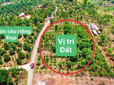 Ea hding- cư mgar- đắk lắk dt 10 50 m đất đỏ bazan trên đất full trái cây tiêu cho thu đường oto 0