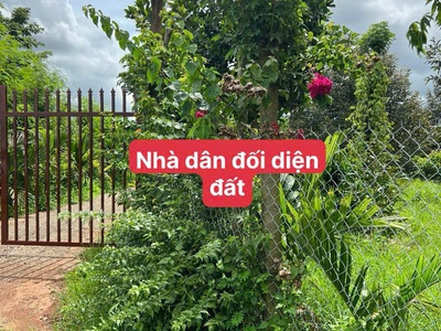 Ea hding- cư mgar- đắk lắk dt 10 50 m đất đỏ bazan trên đất full trái cây tiêu cho thu đường oto 2