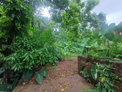Đất đẹp giá rẻ phường chương mỹ 470m tại tiên phương-chương mỹ-hà nội 3