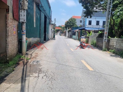 Bán lô đất trục chính kinh doanh 118m tại phụng châu-chương mỹ-hà nội 1