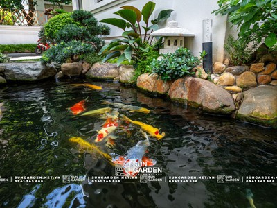 Tạo không gian sống xanh với vật liệu tự nhiên cho tiểu cảnh nhà ống 1