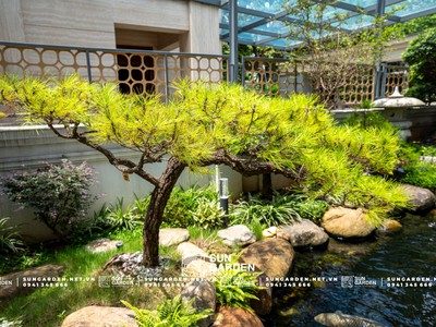 Tạo không gian sống xanh với vật liệu tự nhiên cho tiểu cảnh nhà ống 0
