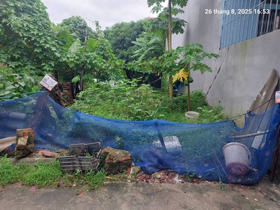 Bán đất quang minh 89m2,mt4m, 4.35 tỷ, hà nội, ô tô nhỏ. 0
