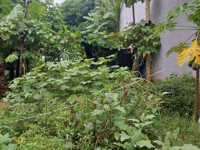 Bán đất quang minh 89m2,mt4m, 4.35 tỷ, hà nội, ô tô nhỏ. 3