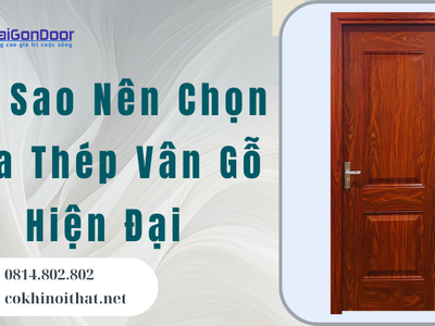 Tại Sao Nên Chọn Cửa Thép Vân Gỗ Hiện Đại 1
