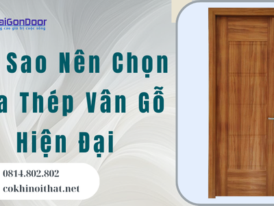 Tại Sao Nên Chọn Cửa Thép Vân Gỗ Hiện Đại 2