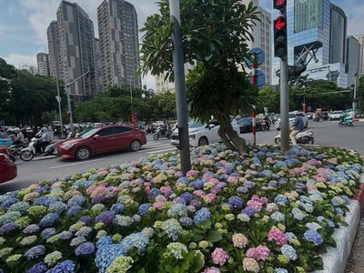Bán đảo linh đàm- hoàng mai- view hồ linh đàm, nhỉnh 14t.ỷ 1