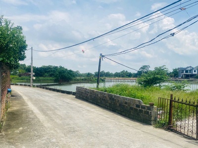 Hàng fo ngon bổ rẻ 309,9m tại thủy xuân tiên-chương mỹ-hà nội 3