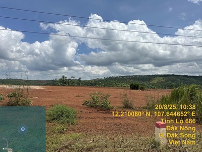 Bán gấp đất tỉnh lộ 686 xã nâm n jang, huyện đắk song, đắk nông, 427m2, mt 13.5m, miễn tg 4