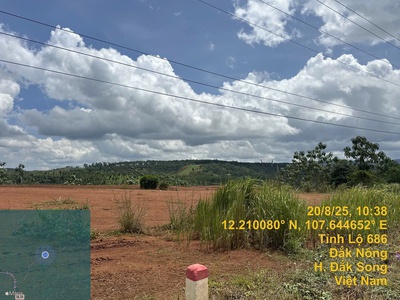 Bán gấp đất tỉnh lộ 686 xã nâm n jang, huyện đắk song, đắk nông, 427m2, mt 13.5m, miễn tg 3