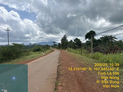 Bán gấp đất tỉnh lộ 686 xã nâm n jang, huyện đắk song, đắk nông, 427m2, mt 13.5m, miễn tg 2
