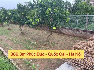 Hàng fo 389,3m tại phúc đức - quốc oai-hà nội 0