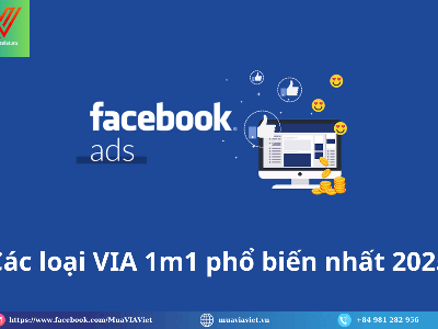 Mua VIA 1m1 uy tín, thích hợp test camp và nuôi lâu dài 0