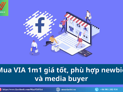 Mua VIA 1m1 uy tín, thích hợp test camp và nuôi lâu dài 2