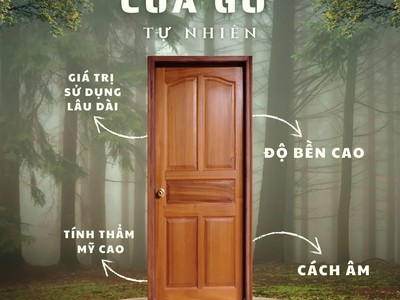 Cửa gỗ tự nhiên 1