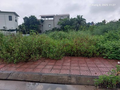 Đất đấu giá tổ 4, quang minh, 125m2, mt7m, 7.5 tỷ, mê linh. 0